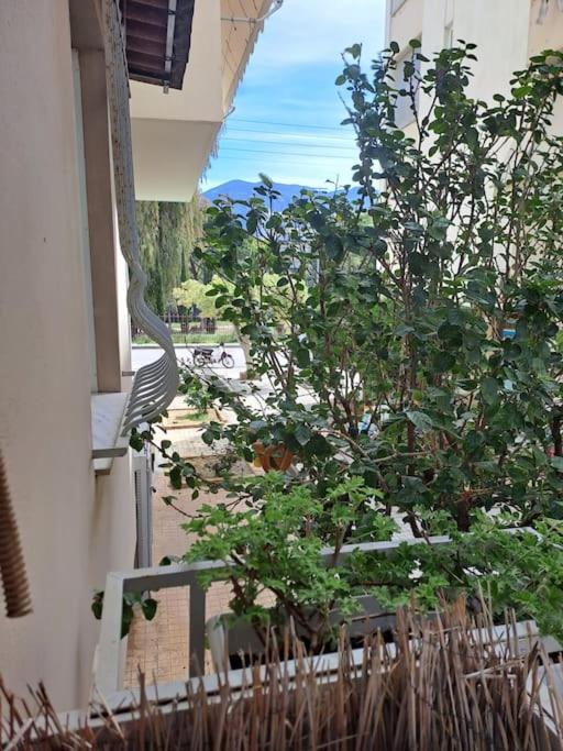 Δίπλα Στο Πάρκο Apartment Каламата Екстериор снимка